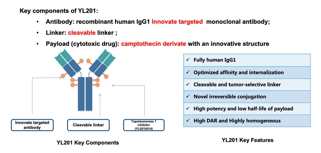 YL201的关键组成结构特异性结合