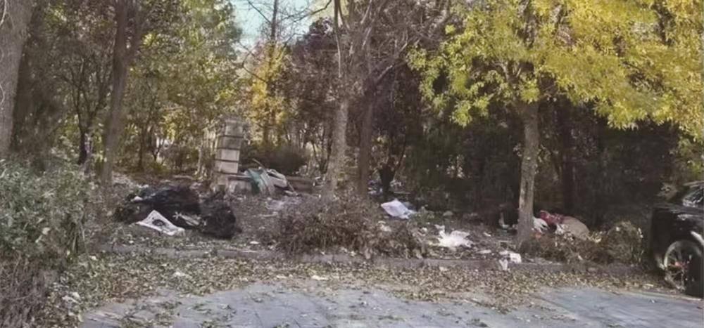 南湖香郡社区门前小树林旧貌换新颜