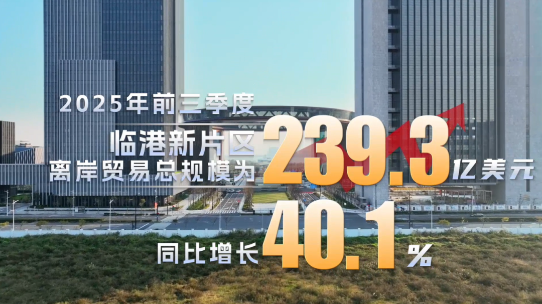 本文来源：上海临港