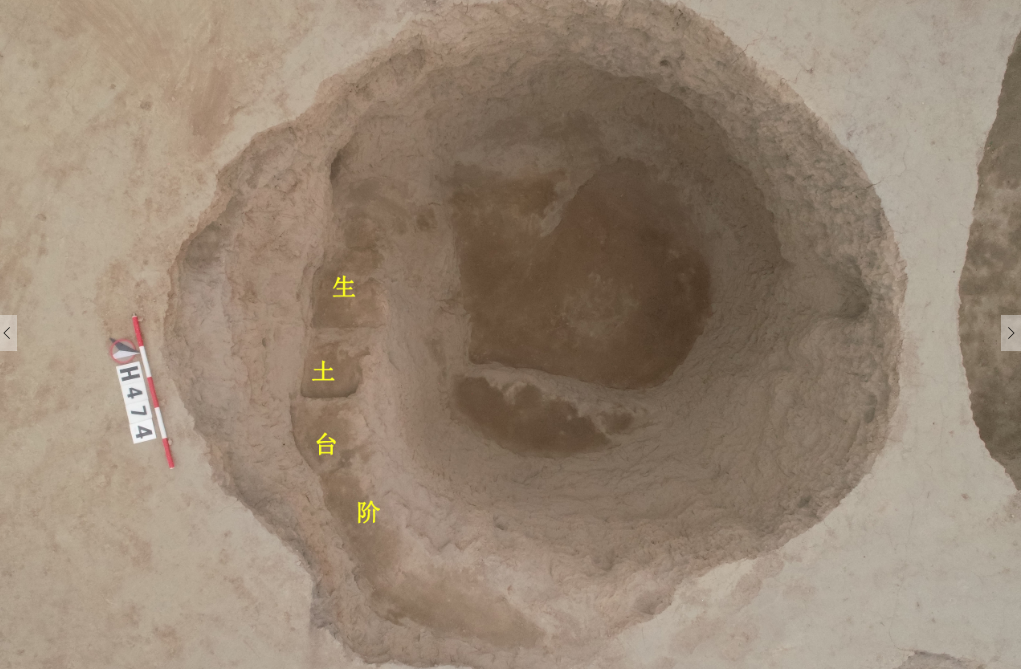 渭南蒋家遗址-庙底沟文化-带阶梯灰坑