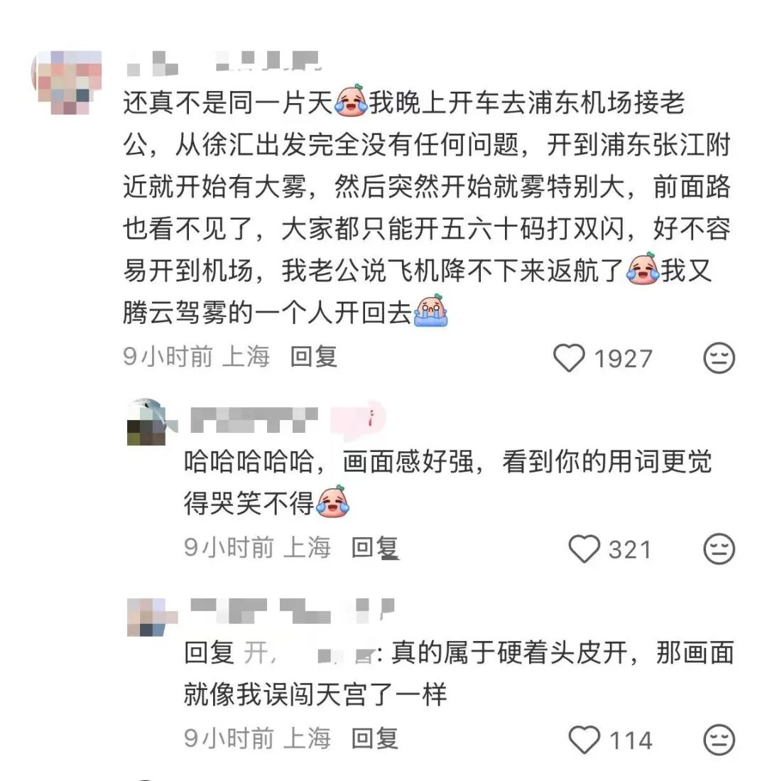 还有网友在飞机上拍了张照片