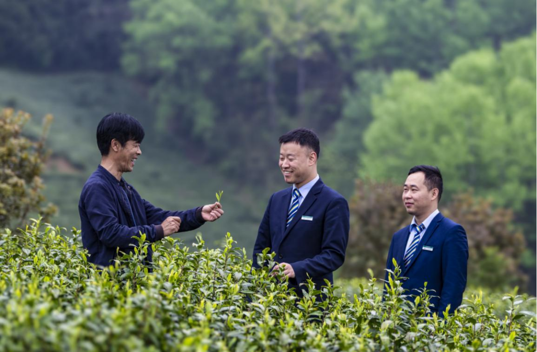 ▲邮储银行安徽省分行深入田间地头，支持特色农业发展。