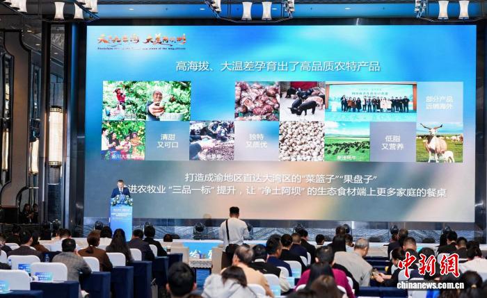 推介會現場。阿壩州經濟合作和外事局 供圖