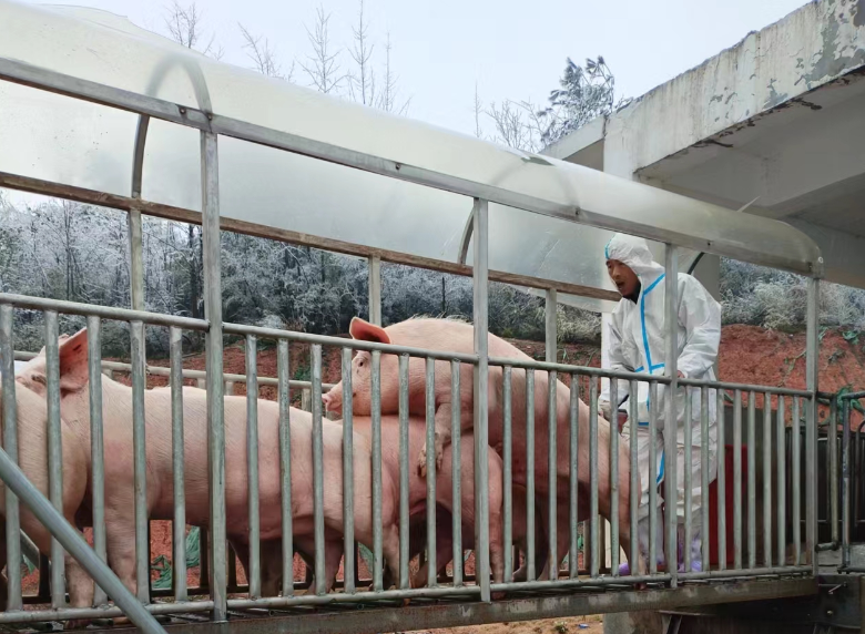 图片来源：公司官网