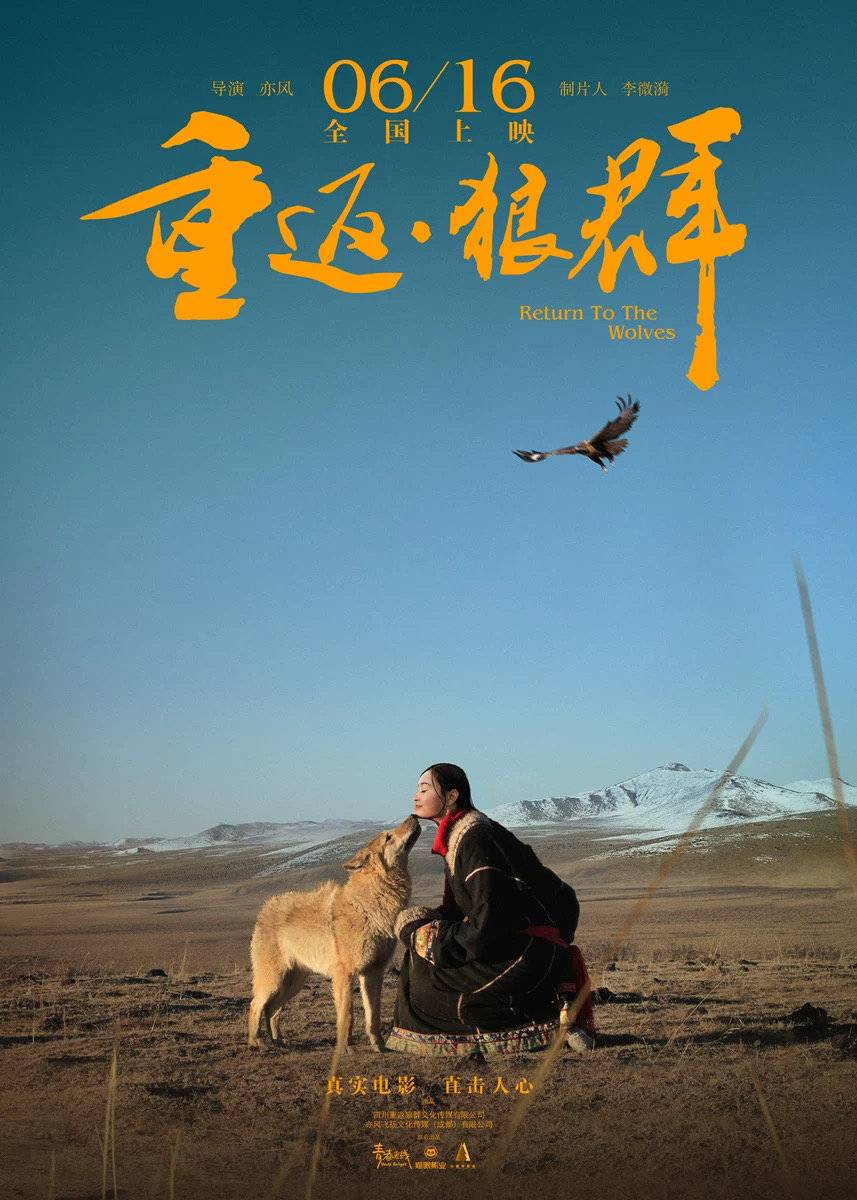 《重返·狼群》海報 圖據片方