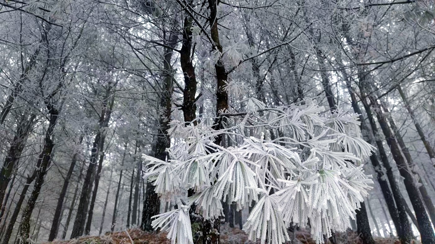 霧凇 李繼華 攝