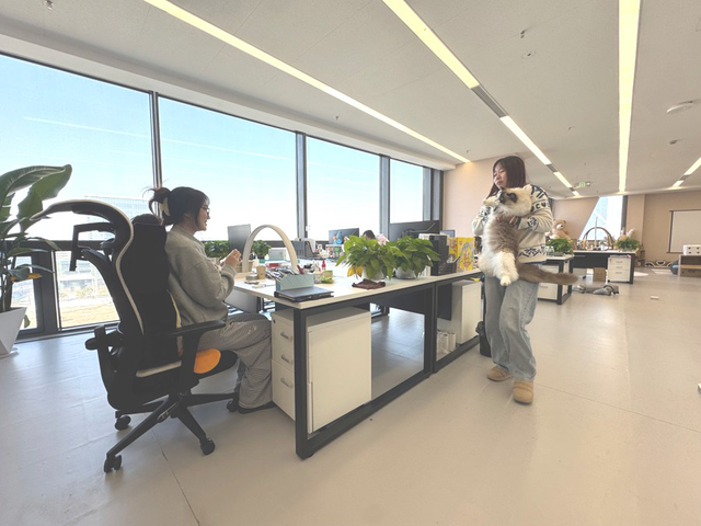 图说：在许多OPC企业，上班撸猫成常态。