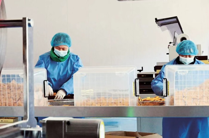 河北塞罕金葫芦药业有限公司。李国强 摄