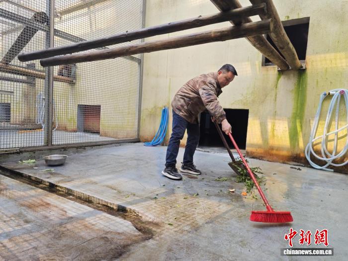 圖為工作人員清理黔金絲猴圈舍。黎福慧 攝