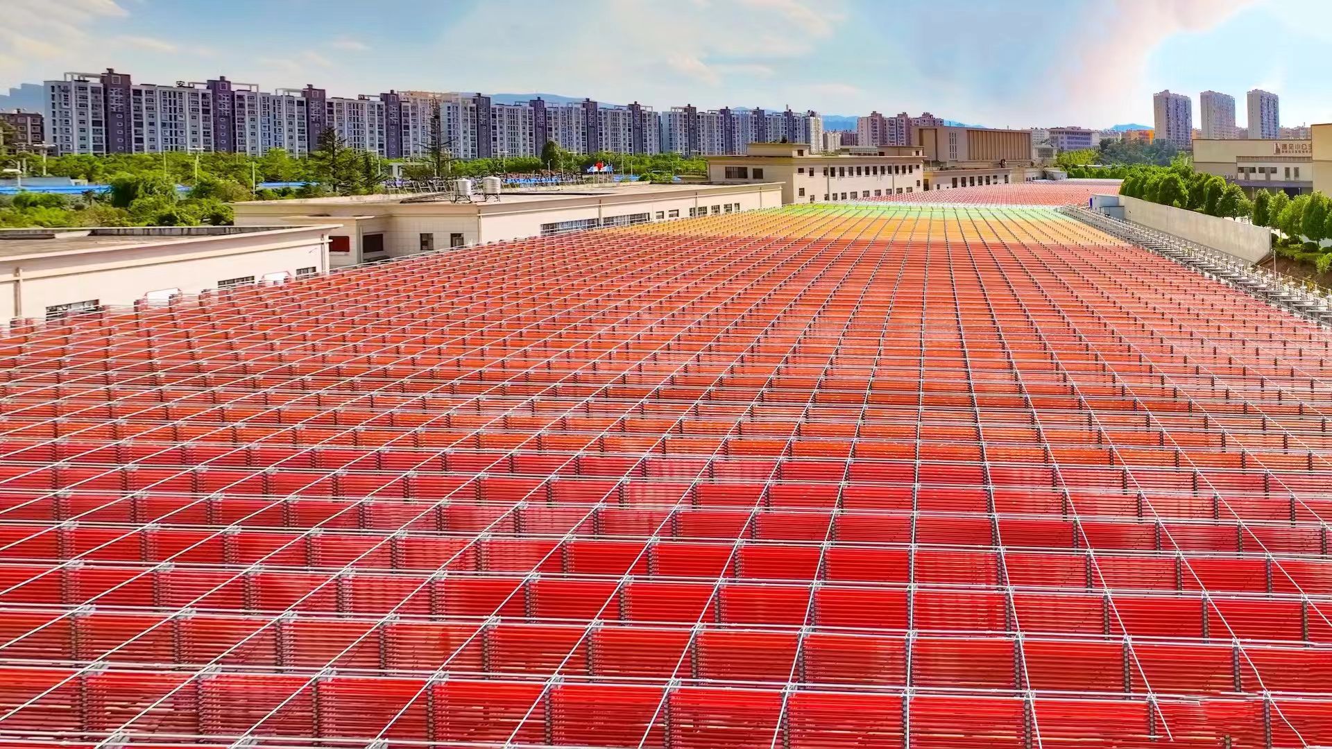 图为雨生红球藻室外诱导养殖基地（资料图）。（曲靖市融媒体中心供图）