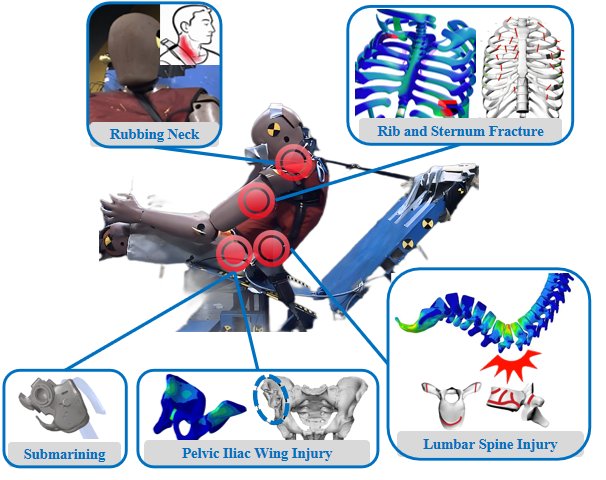 国内首款“中国体征”数字模型发布：C-IASI安全指数赋能汽车安全技术发展