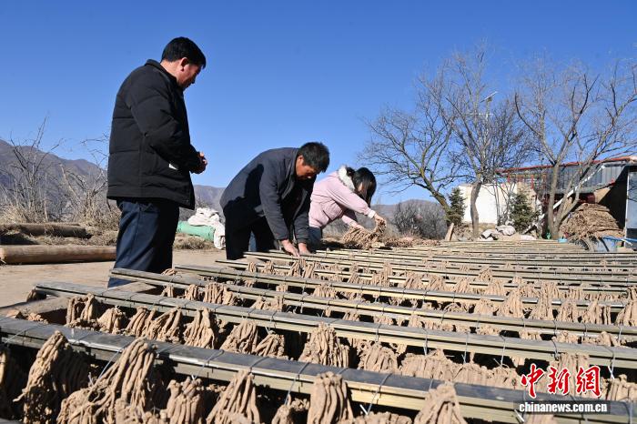 2025年12月17日，圖為楊雨蓉(右一)在村民家中幫忙收中藥材。九美旦增 攝