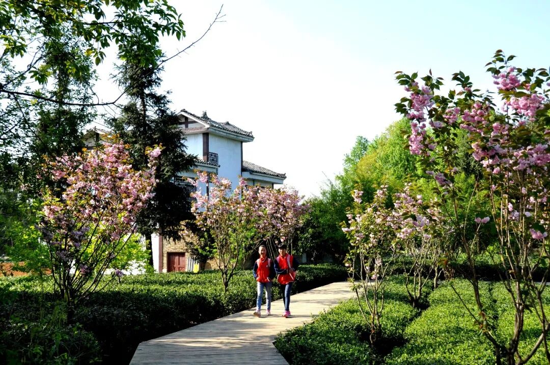 湄潭茶园人家(瞿欣含摄)