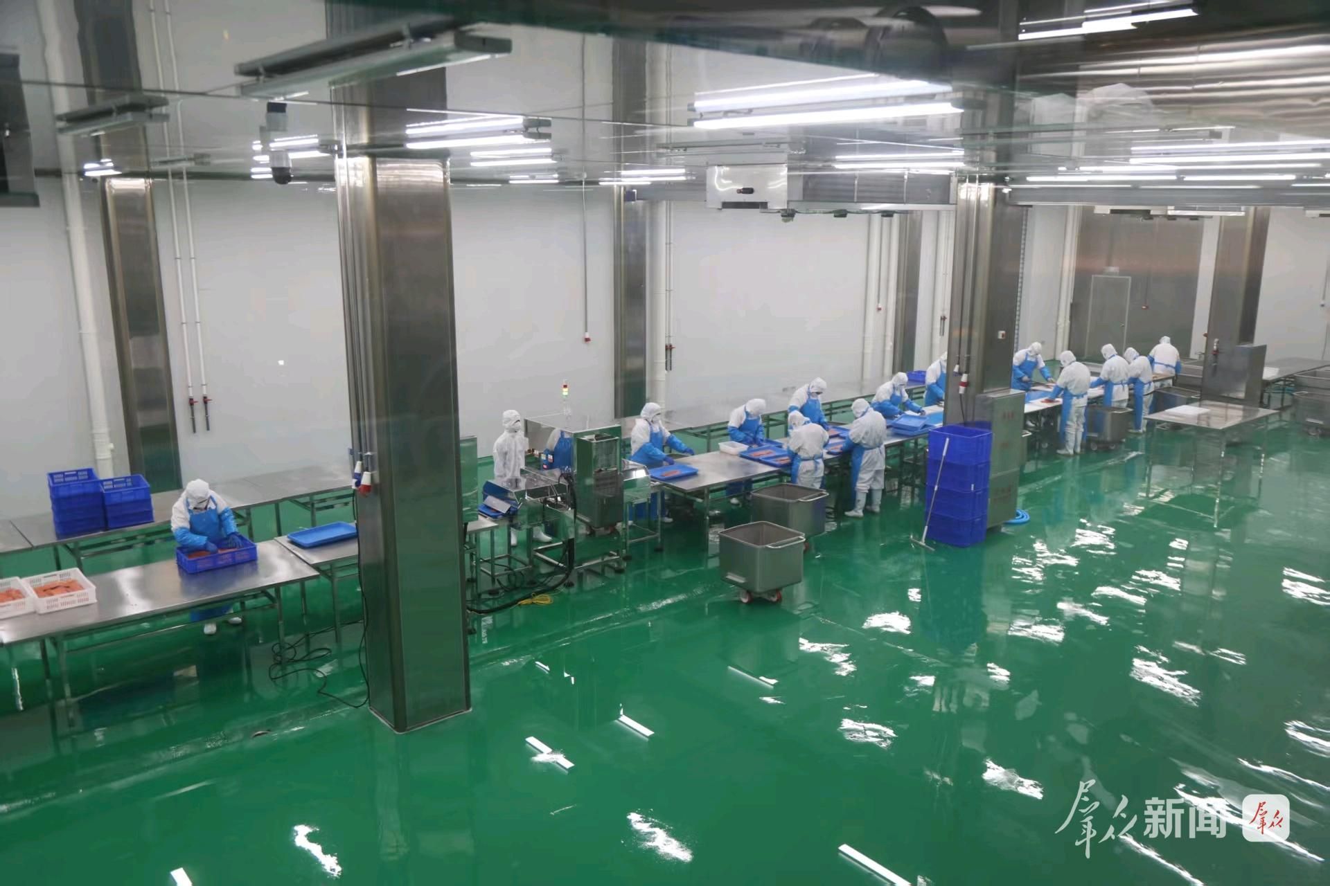 冷水鱼加工厂