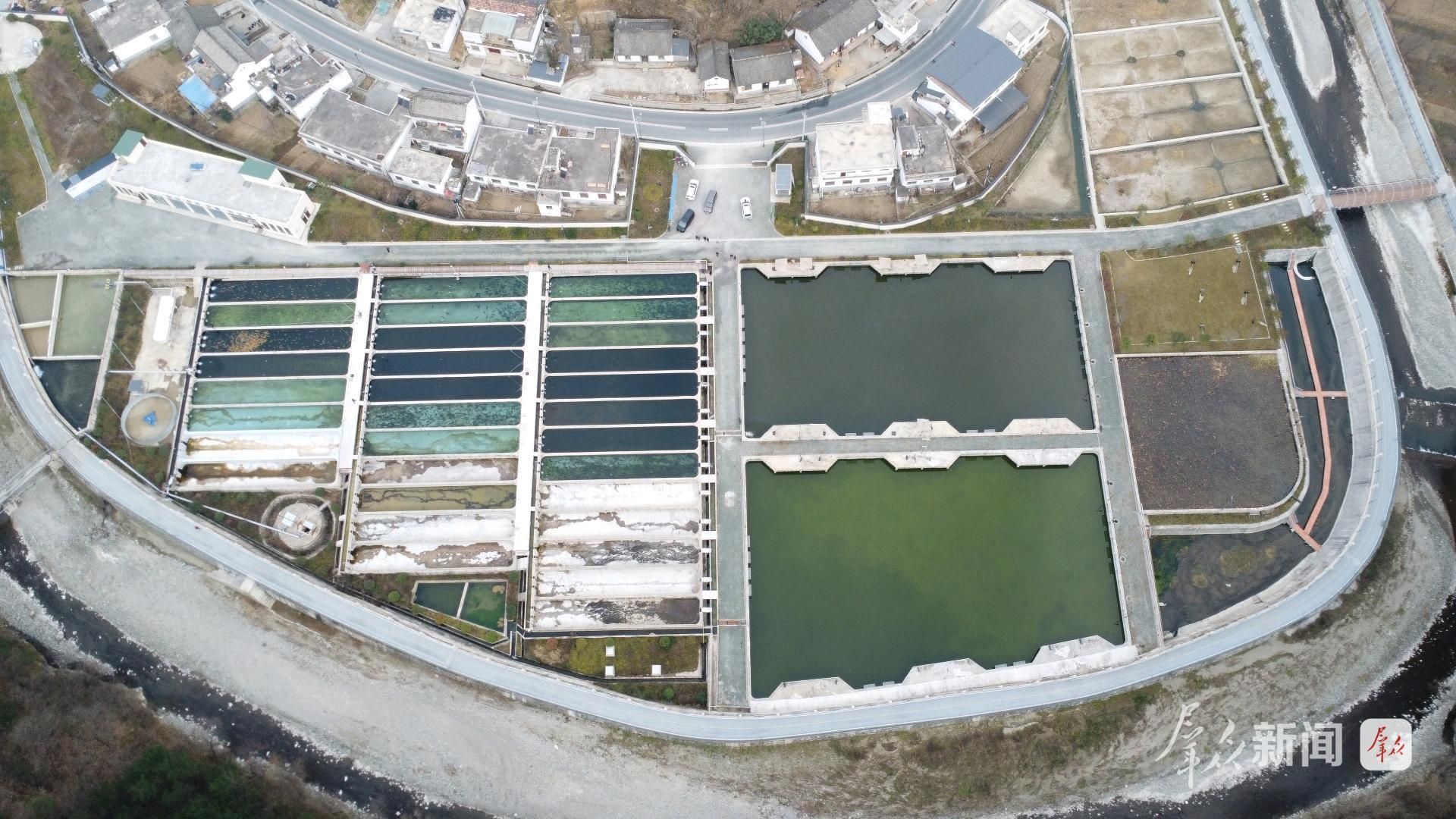 冷水鱼养殖基地