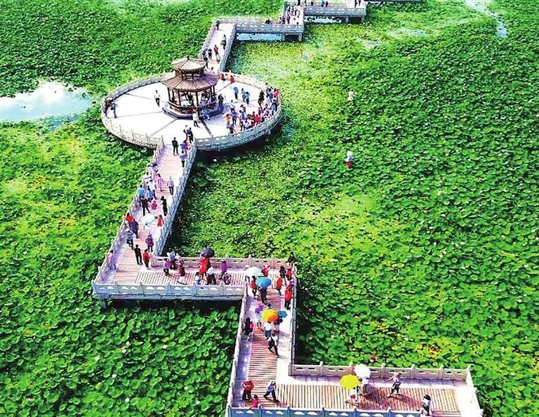 水川湿地公园。