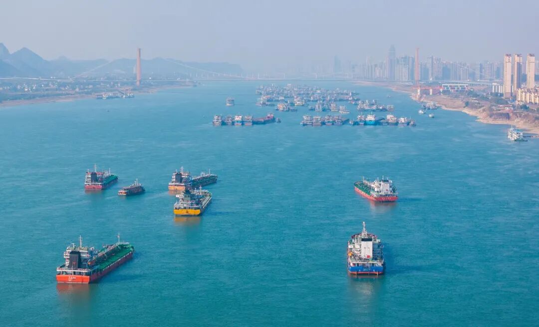 长江湖北段，百舸争流（薛婷｜摄）