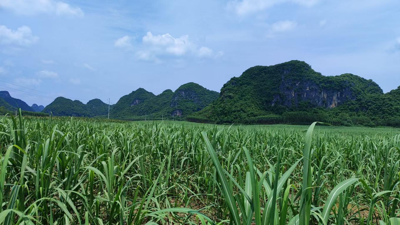 ����ء������� ��