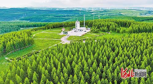 2025年6月9日拍摄的塞罕坝机械林场。（资料片）河北日报记者 李佳泽摄