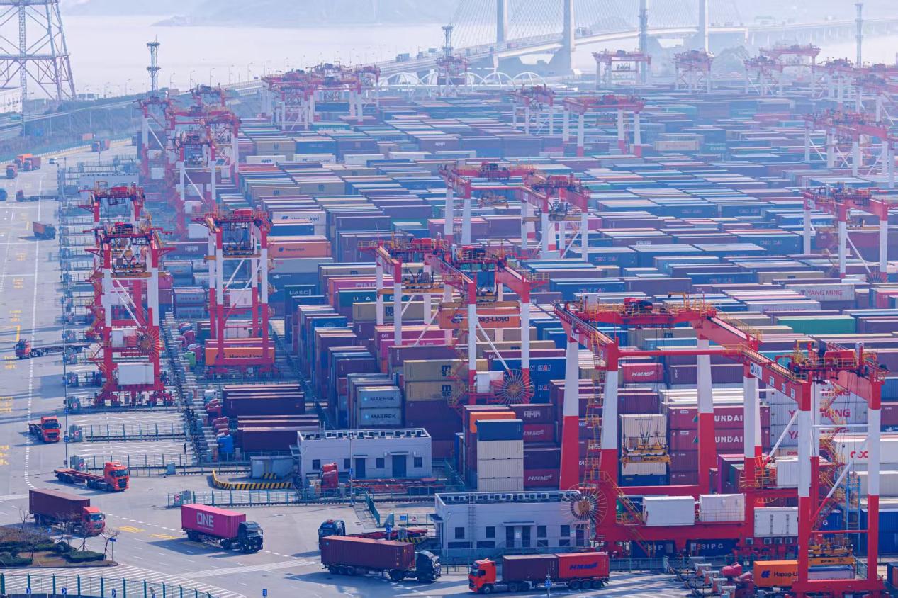 繁忙的洋山港 王初摄