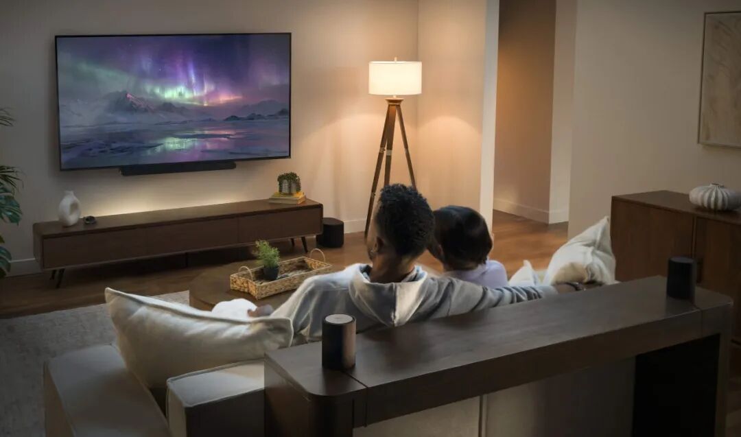 *图片来源：VIZIO 官网