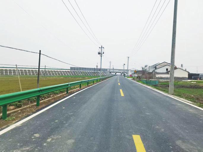 安徽舒城老家人：希望她常回来看看