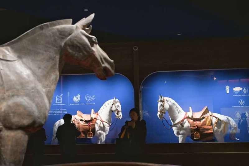 1月29日，中国国家博物馆，嘉宾在参观“跃马扬鞭——马年新春文化展”。新京报记者 浦峰 摄