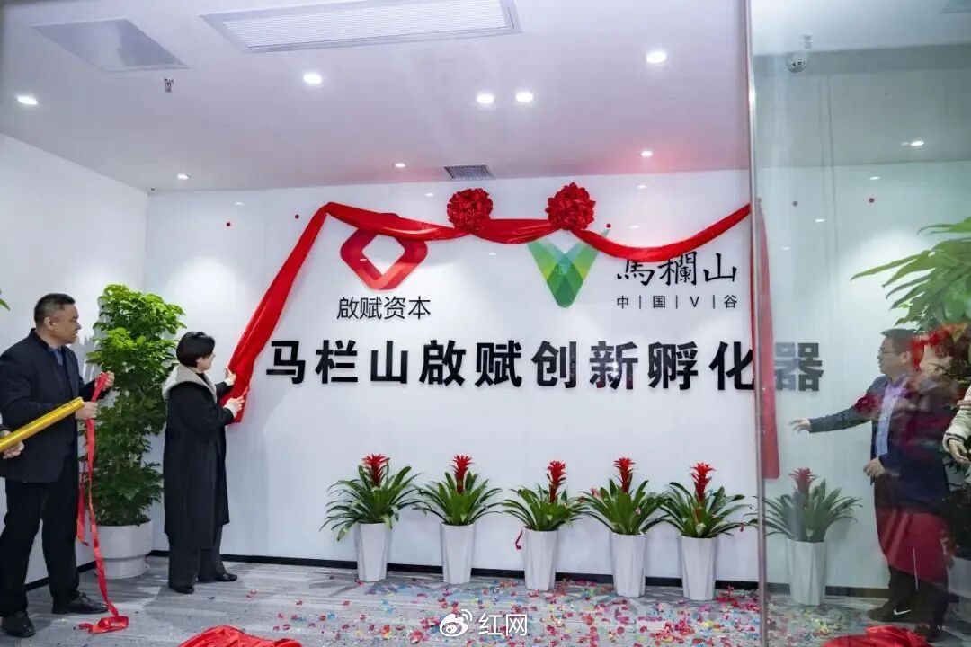 2024年12月18日，马栏山启赋创新孵化器揭牌。（图源：“啟赋资本”公众号）​