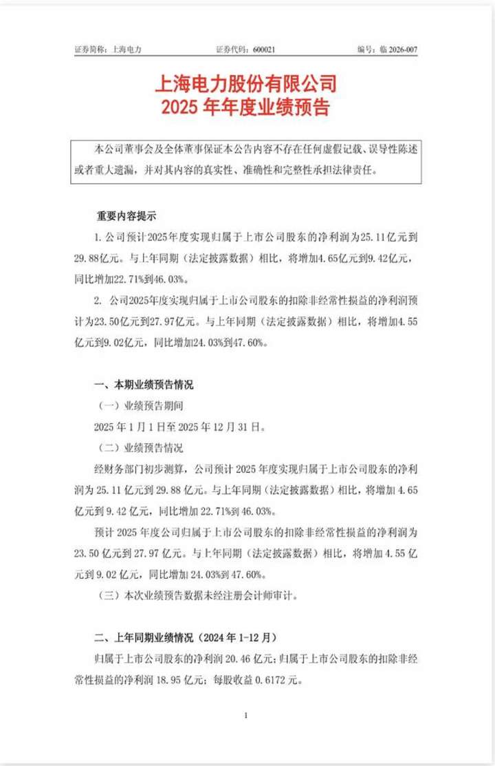 图片来源：上海电力公告