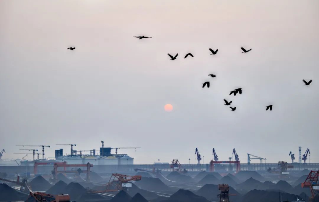 振华Terminexus全球港口摄影大赛获奖作品© 作者：郝坤