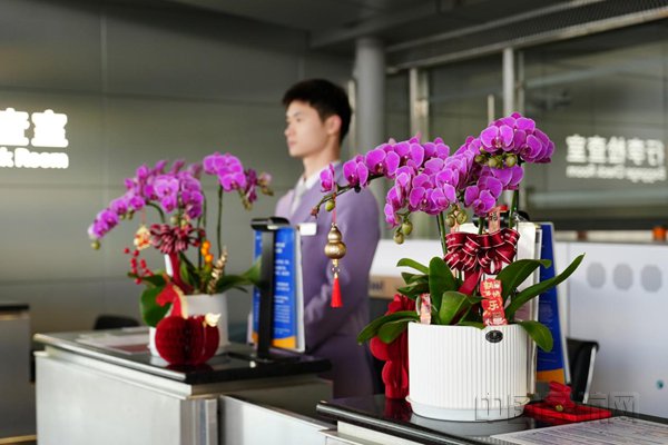 ���麽��ֵ����̨������ɫװ��