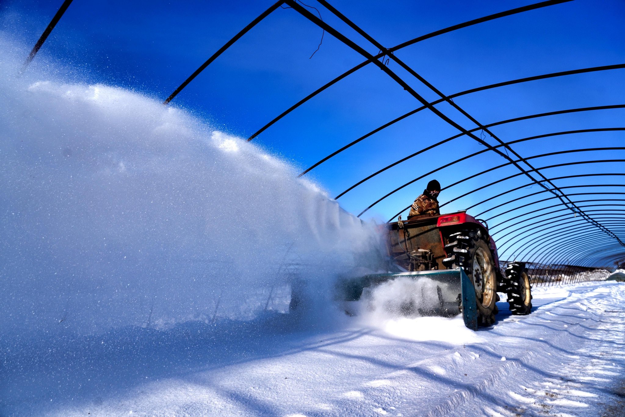 水稻育秧大棚清雪作业