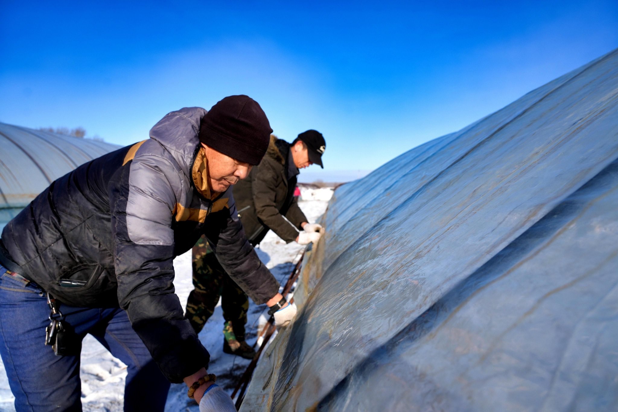 水稻育秧大棚扣棚作业