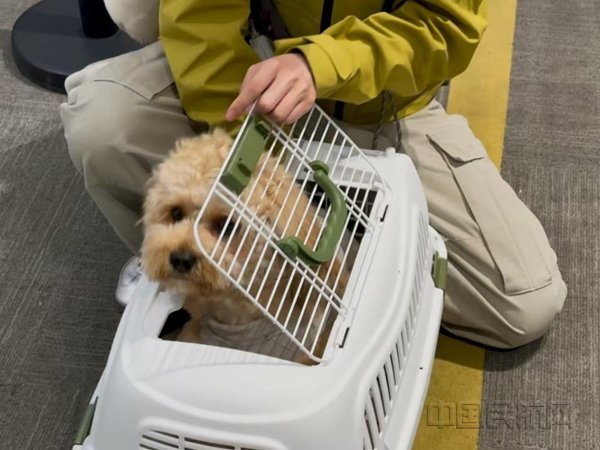 （ 春秋航空供图）