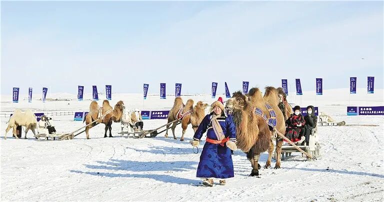 　　呼伦贝尔市陈巴尔虎旗“天天冰雪那达慕”活动。记者 李新军 摄