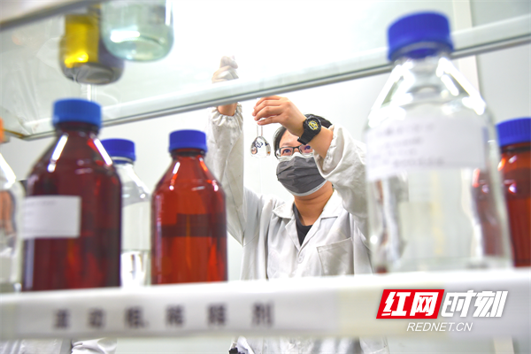 ​津市生物医药企业研究人员正在做研发实验。（卢祖华/摄）