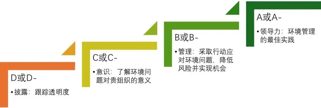 ▲CDP 的基本标准评分等级