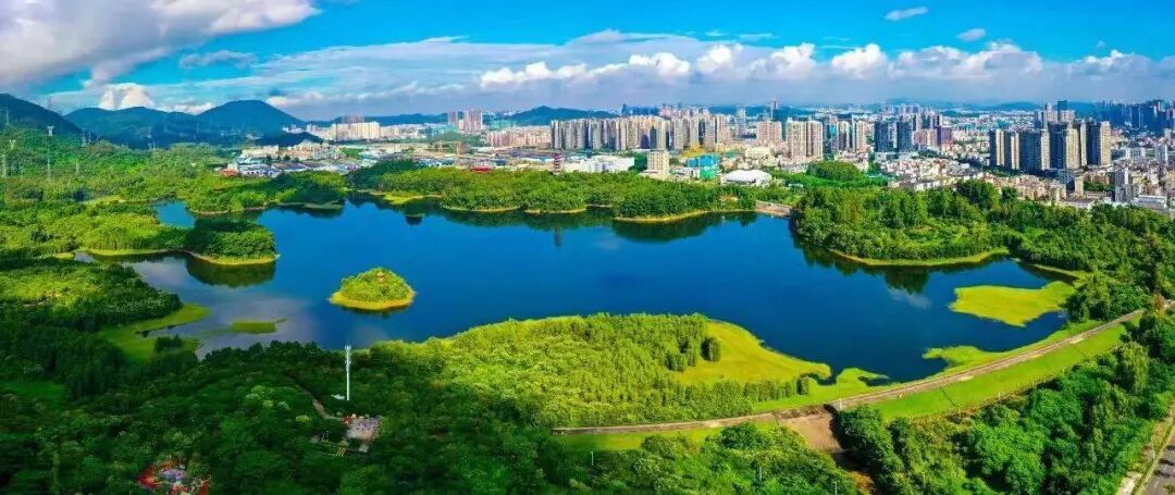 ▲抬头可见“坪山蓝”