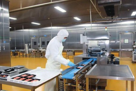 成都青羊区三文鱼加工中心车间。邹阿江摄