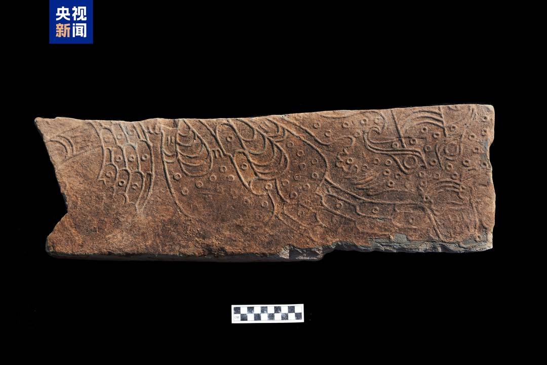 △山東青島琅琊台遺址山頂建築基址龍紋踏步空心磚局部