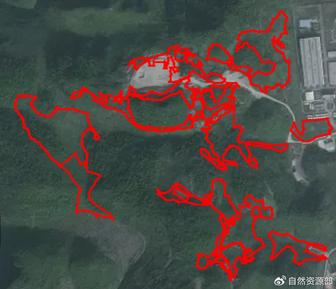 2021年1月卫星影像