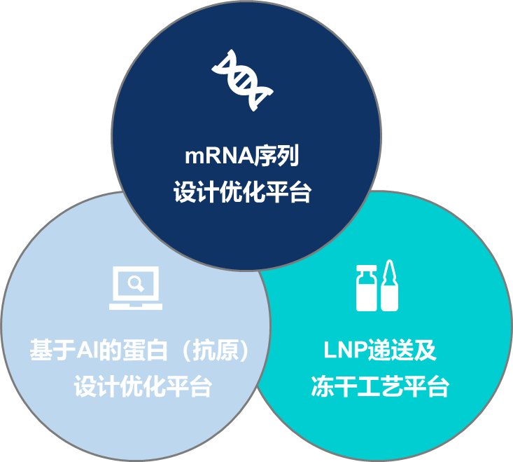 图1：纳美信mRNA核心技术平台