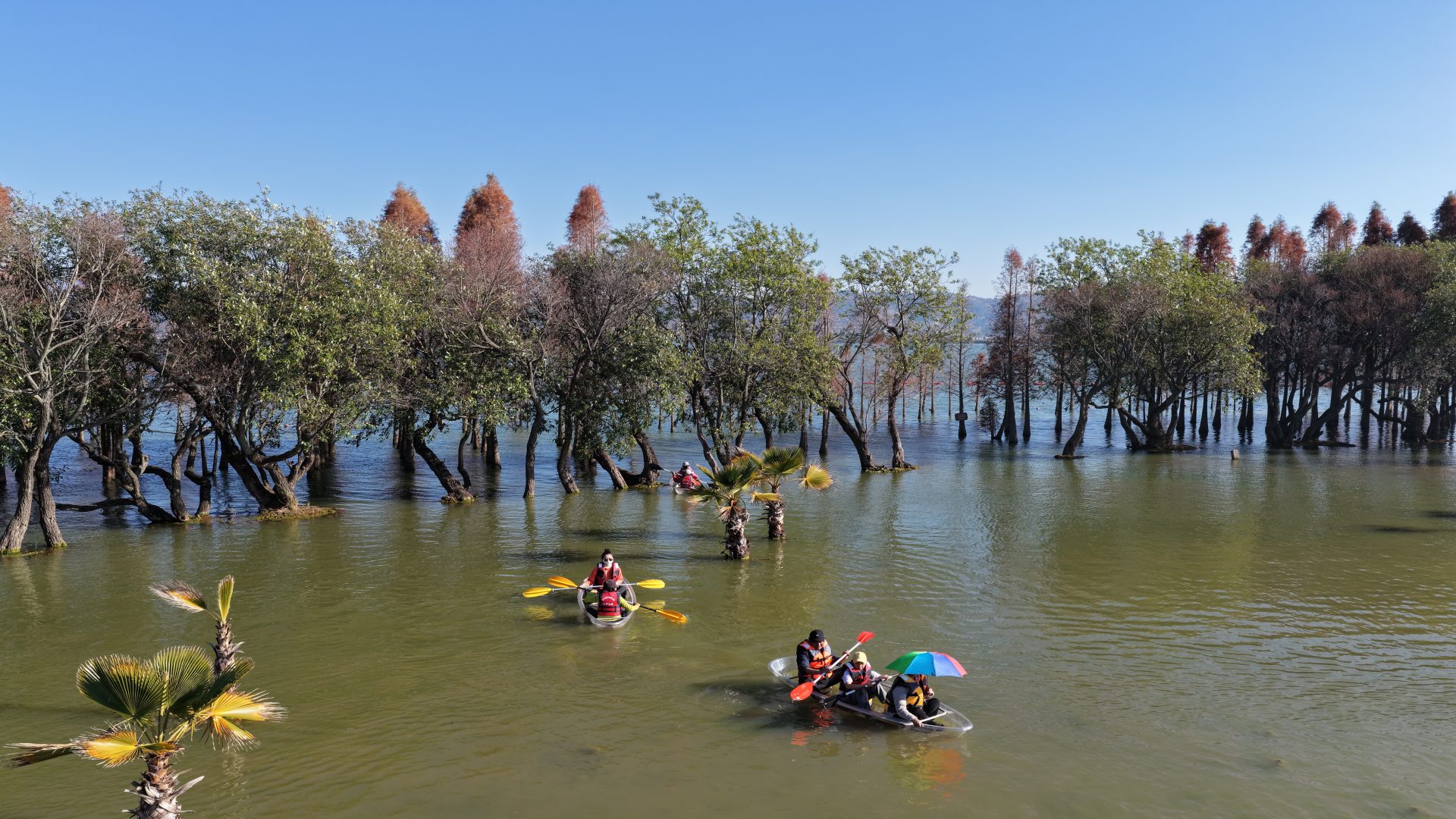 （杜美澤一家在星雲湖遊玩）