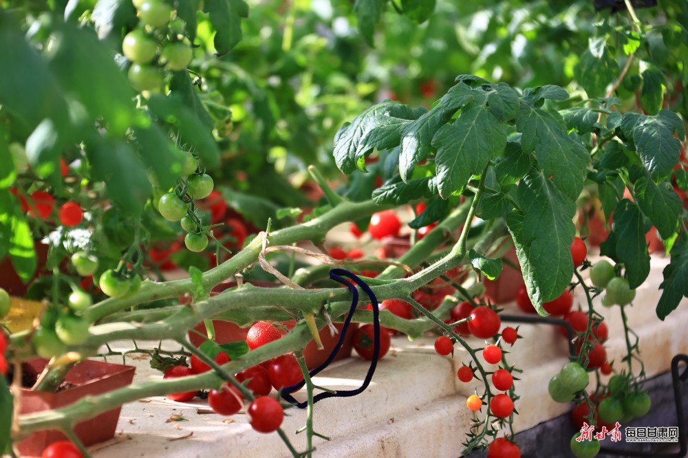 责任编辑：王辉文