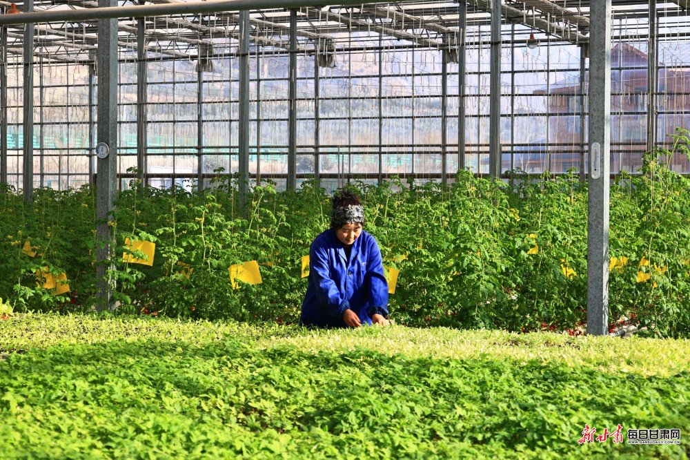 责任编辑：王辉文