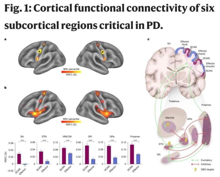 本項研究的相關示意圖(圖片來自論文)。施普林格·自然 供圖