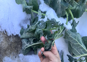 中央气象台：全国农业气象月报（2026年02月05日）