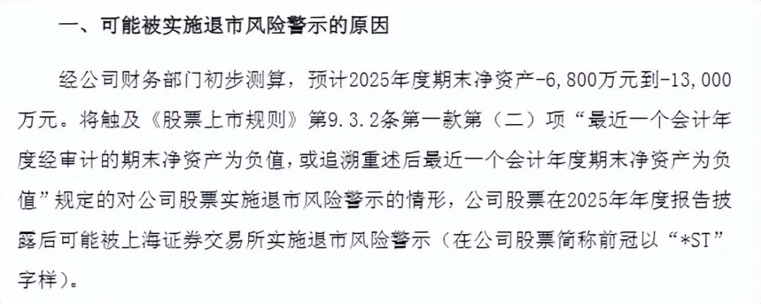 （图源：亿晶光电公告）