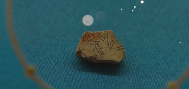 商代甲骨 图片来源：央广网