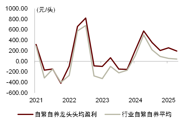 资料来源：公司公告，iFinD，中金公司研究部